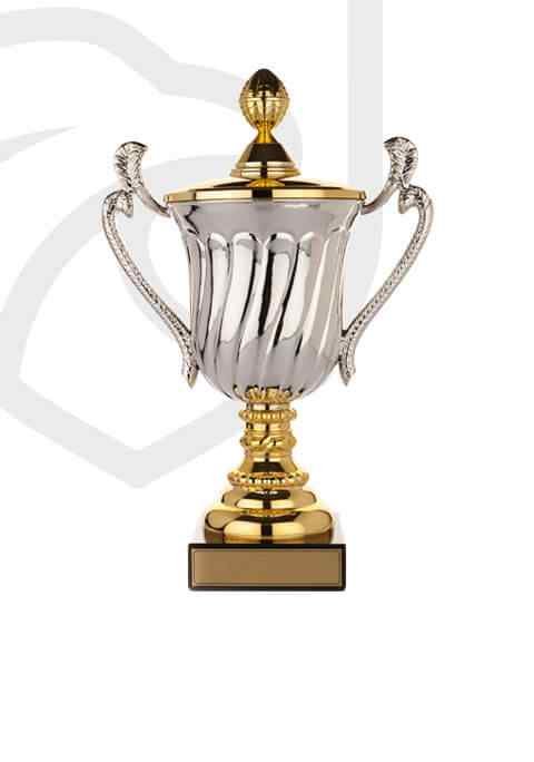 https://www.fc1.club/wp-content/uploads/2022/11/trophy_overlay_02-3.jpg